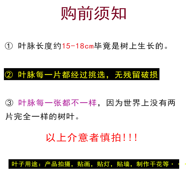 蝉之翼丨天然玉兰树树叶标本叶脉干花书签DIY材料包贴画标签叶子 - 图2