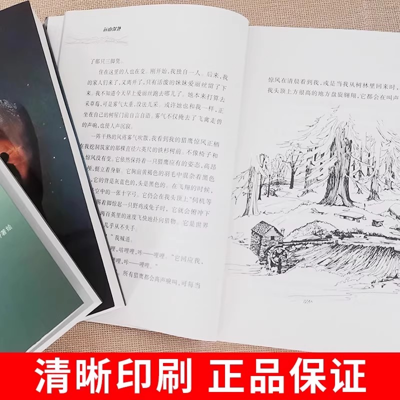 图 4