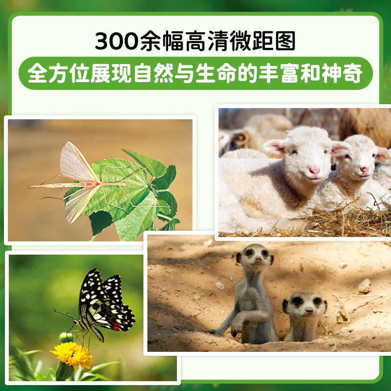图 5