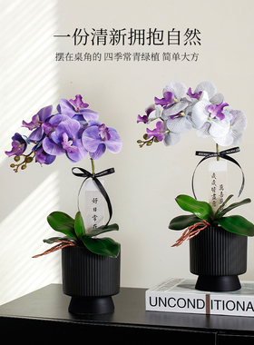 逼真蝴蝶兰仿真花艺套装假花摆件