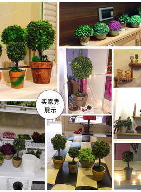 田园风仿真植物室内客厅摆设