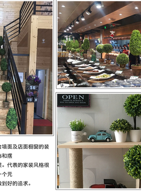 仿真植物盆栽盆景小摆件造景装饰