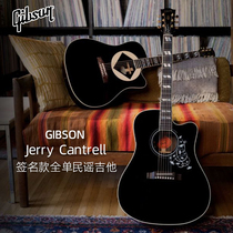 Gibson Gibson Jerry Cantrell signature section Songwriter full single electric box folk ballad guitar