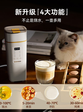 大宇便携式烧水壶充电线电源线