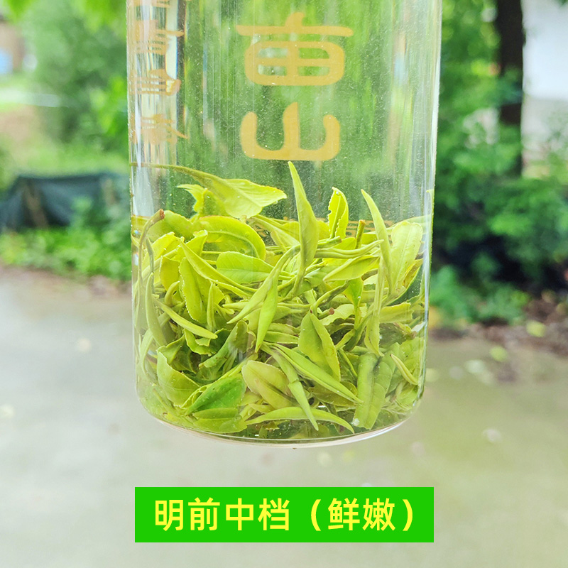 兰花果香味-【土茶】金奖惠明茶2024年新茶手工绿茶-明前景宁特产 - 图1