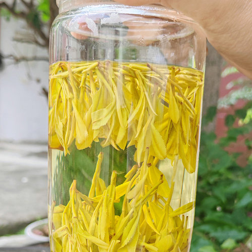 乐茁鲜豆香【明前中档黄金芽】2026年新茶正宗安吉高山黄金白茶叶 - 图2