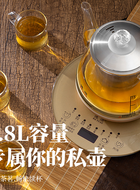 德源电热水壶全自动玻璃小型煮茶