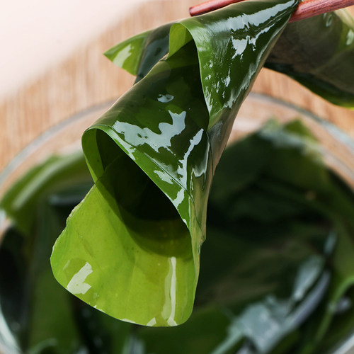 特级新鲜薄嫩韩国式海带汤野生盐渍天然海白菜拌菜半干货500g包邮 - 图0