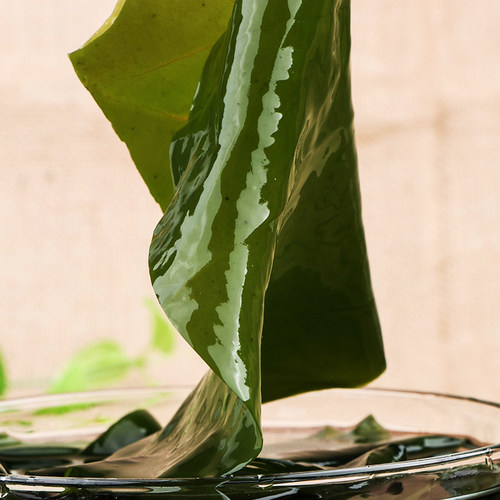 特级新鲜薄嫩韩国式海带汤野生盐渍天然海白菜拌菜半干货500g包邮 - 图1