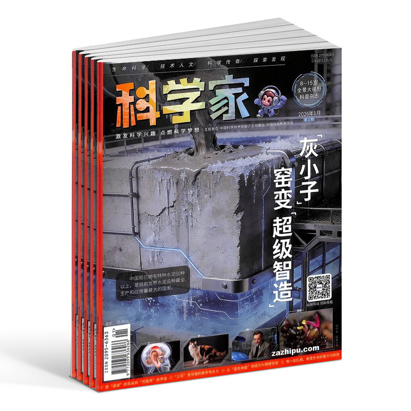【半年/全年订阅】科学家少年杂志 2025/24年1-6-12月共12期8-15岁青少年的大视野全景思维高端AI阅读助手科普非好奇号万物 杂志铺