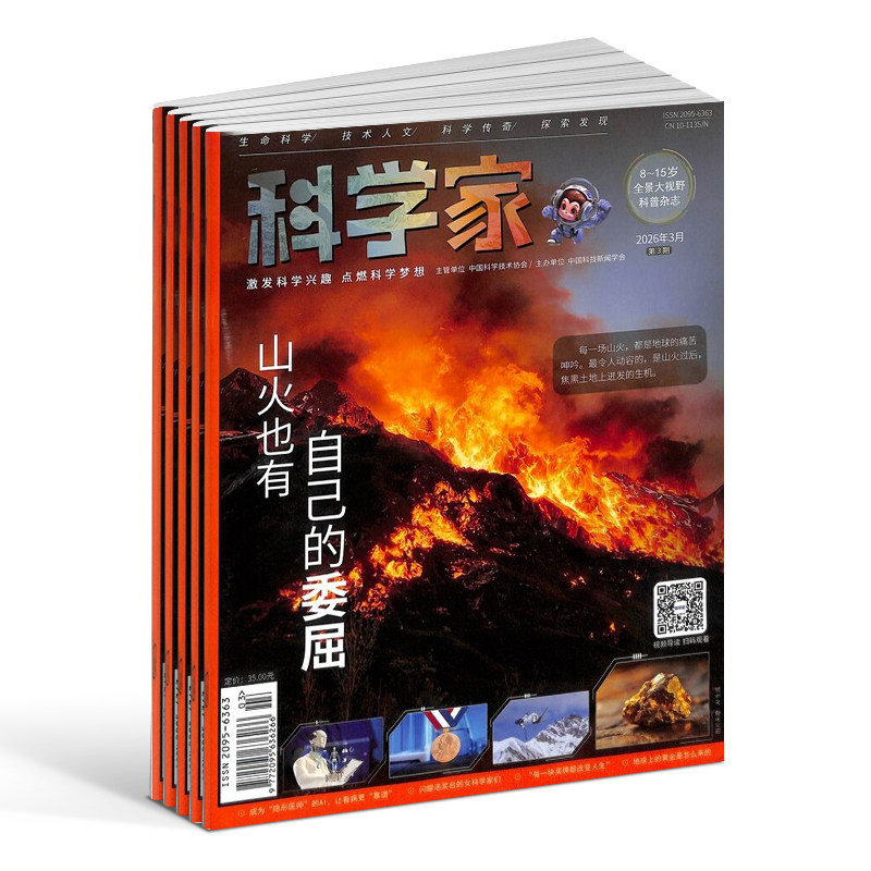 【半年/全年订阅】科学家少年杂志 2025/24年1-6-12月共12期8-15岁青少年的大视野全景思维高端AI阅读助手科普非好奇号万物 杂志铺