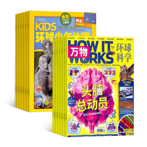 万物+环球少年地理KiDS 杂志组合2026年6月起订共24期 杂志铺 全年订阅青少年科普百科全书中小学生课外阅读科学书籍 - 图2
