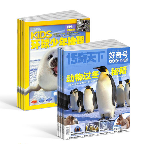 【送好礼】好奇号+环球少年地理杂志组合  2026年7月起订1年订阅共24期  合作 科学历史文化 杂志铺 - 图2