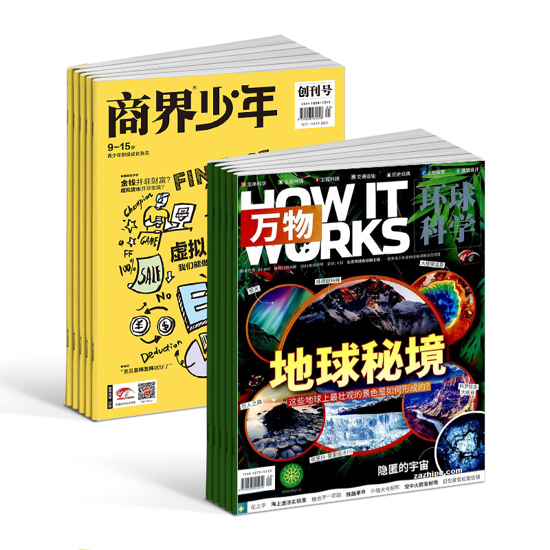 商界少年（1年共12期）+万物（1年共12期）杂志组合 2025年5月起订 杂志铺  How it works 中文版 少年财商启蒙期刊杂志