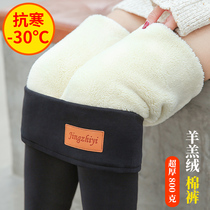 Extra-thick lamb fleece with underpants female autumn and winter integrated trousers with velvet thickened outside wearing big code Fat MM Northeast warm cotton pants