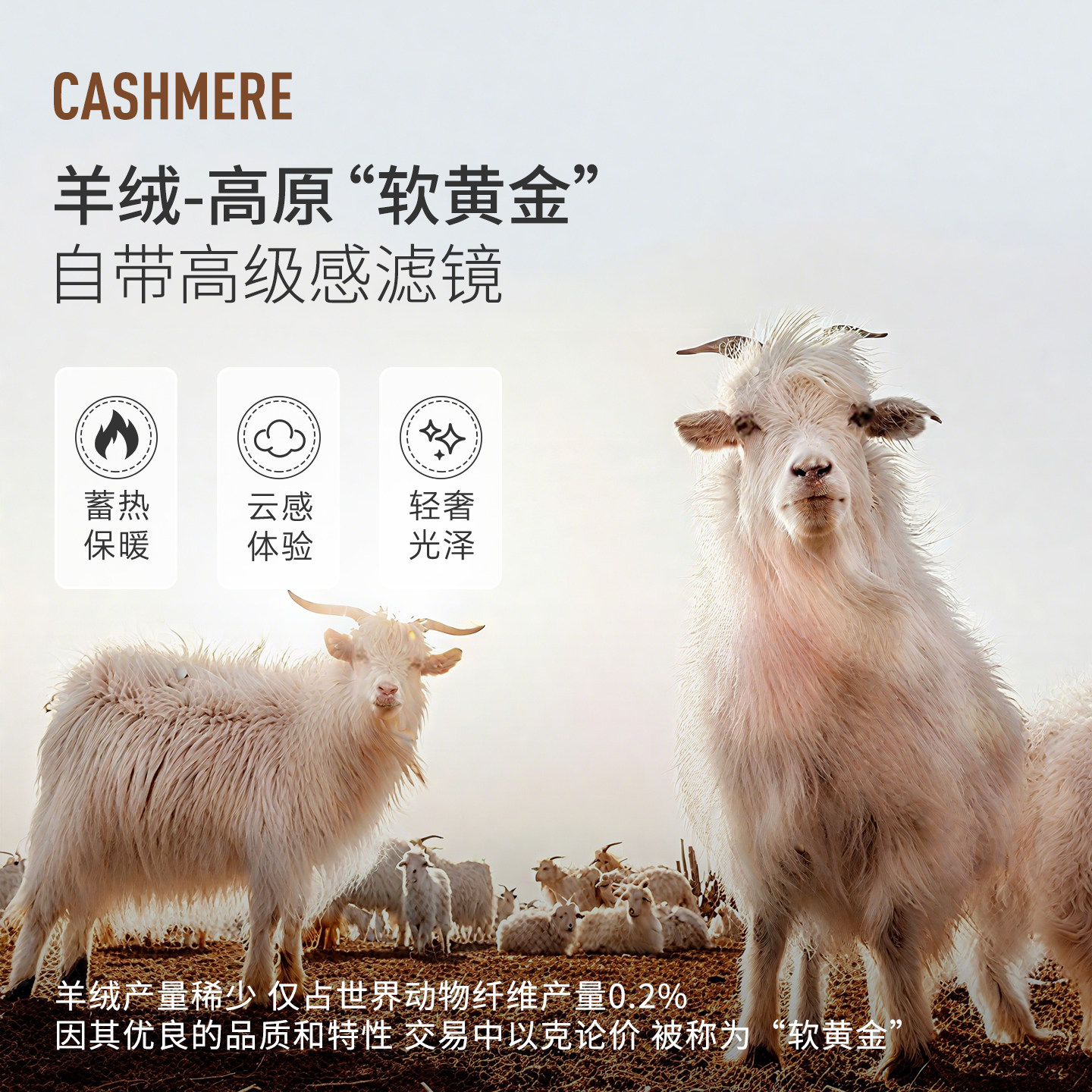 [羊绒羊毛]梦特娇冬季羊绒衫男士翻领羊毛针织打底衫保暖毛衣厚J,淘宝优惠券,粉丝福利购,淘宝优惠卷