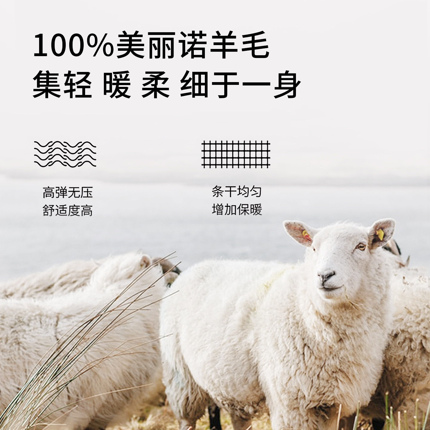 [加厚可机洗羊毛]梦特娇纯羊毛衫男士秋冬圆领精纺毛T恤针织毛衣J,淘宝优惠券,粉丝福利购,淘宝优惠卷