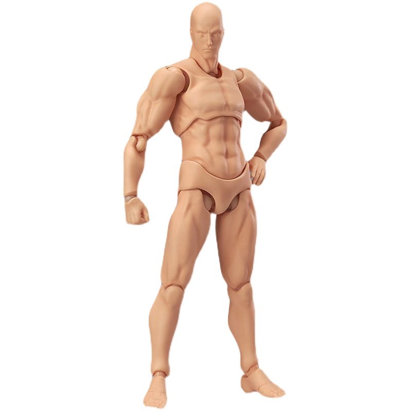 Figma素体人体模型素体人偶关节人可动人体模型玩具美术绘画神器 电玩の仔 淘优券