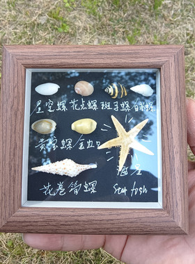 天然海螺贝壳相框咸鱼翻身相册摆件文创礼品伴手礼家居装饰品