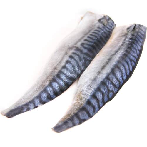 挪威进口青花鱼新鲜大鲐鱼鲐鲅鱼片鲜活鲭鱼烤青占鱼即食包邮冷冻