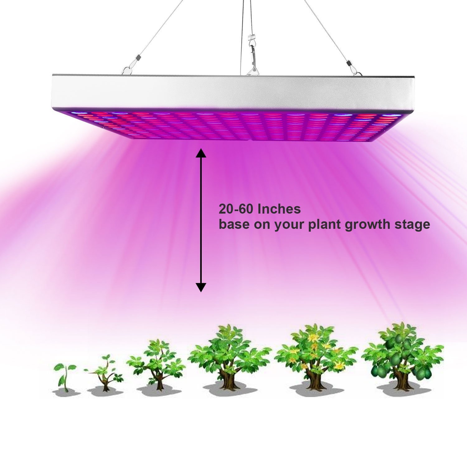 全光谱LED植物生长灯大棚鲜花育苗蔬菜食虫草防徒室内种植补光灯