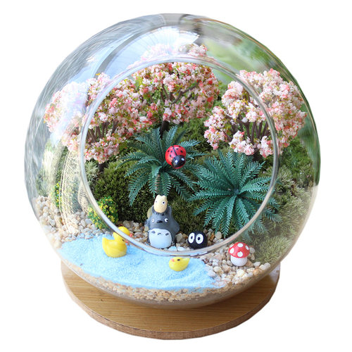 包邮纯苔藓微景观生态瓶创意diy组合盆栽新奇仿真植物礼物办公室 - 图3