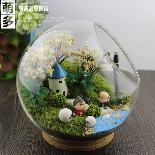 包邮纯苔藓微景观生态瓶创意diy组合盆栽新奇仿真植物礼物办公室 - 图2