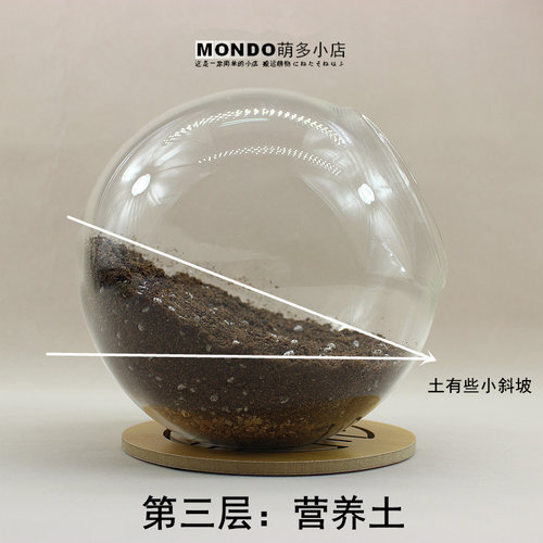 制微景观材料 diy植物盆栽 苔藓瓶 人气绿植办公室小花农满19包邮 - 图3