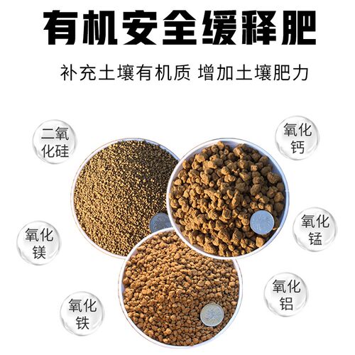 赤玉土进口日本三本线多肉土乌龟爬宠盆景专用苔藓风化种植颗粒土 - 图1
