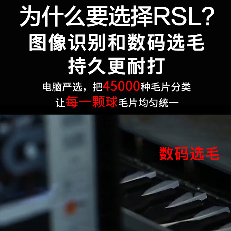 RSL亚狮龙羽毛球5号官方正品旗舰室内比赛训练专业耐打12只装亚5-图0