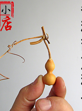 精选天津嘴种子小葫芦