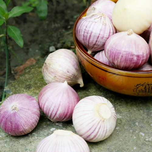 峨眉山独蒜500g  独头大蒜 天然农家大蒜 蒜子 姜蒜 大料调味佐料 - 图0