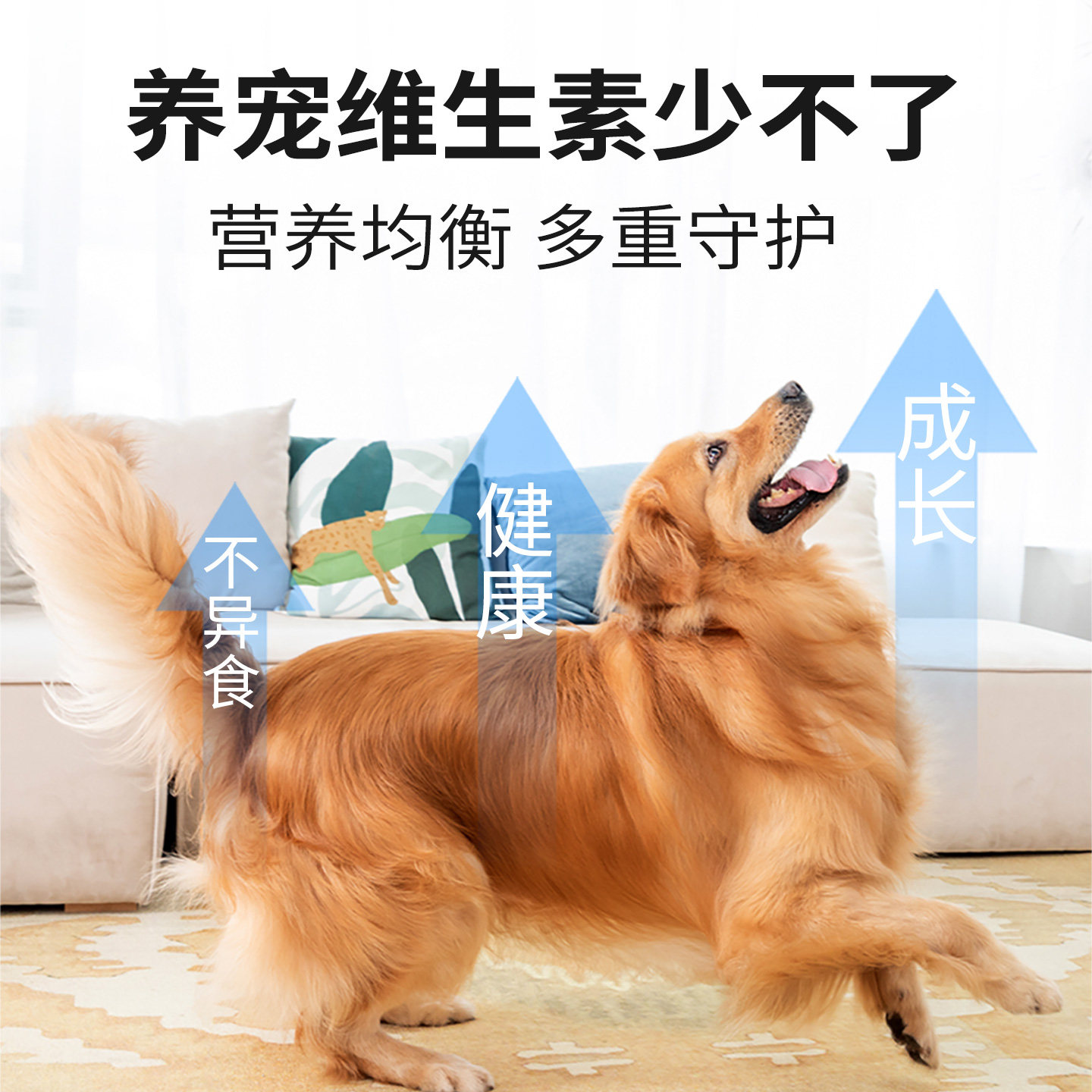 申亚威能犬猫宠物通用复合维生素片猫狗用营养均衡维力多美毛,淘宝优惠券,粉丝福利购,淘宝优惠卷