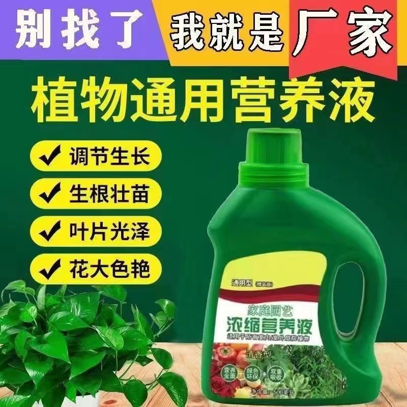 植物通用营养液通用型花肥料盆栽巴西木绿萝多肉花卉液体养花生长 - 图1