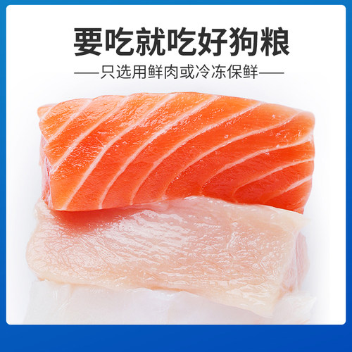 艾顿 狗粮金毛幼犬专用5kg10斤装牛肉味美味中犬粮毛 - 图2