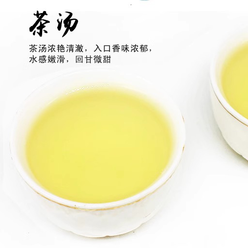 2024新茶春茶铁观音带梗毛茶新茶浓香型tgy铁观音茶叶500g-图1