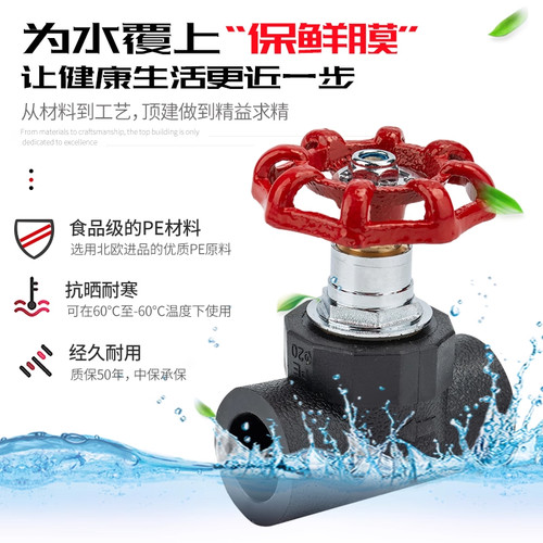 截止阀阀门开关4分202532升降式PE自来水国标大体止水阀水管配件 - 图0
