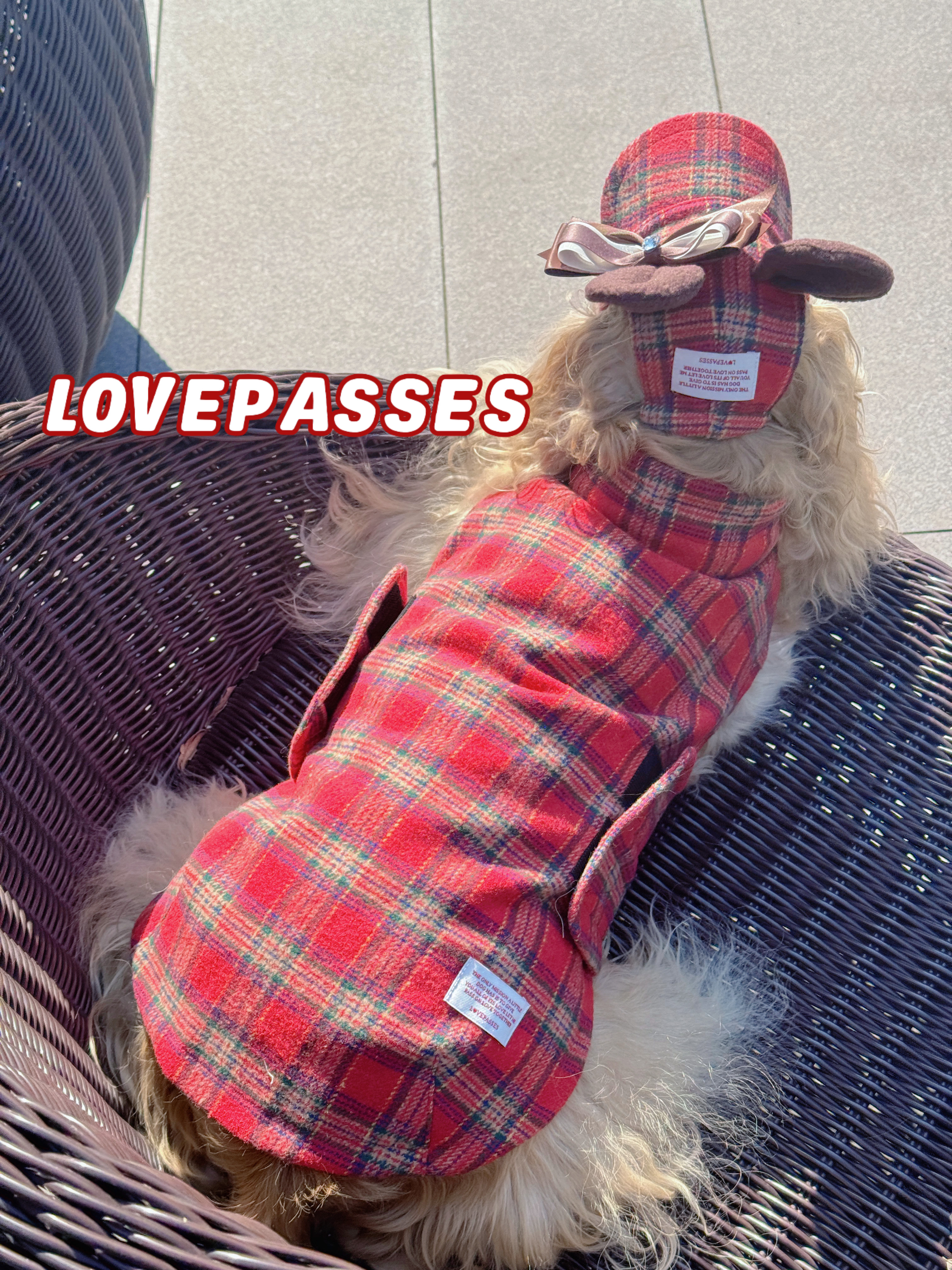 2026｜狗狗衣服新品保暖宠物红色格子狗狗网红无袖马甲棒球棒套装,淘宝优惠券,粉丝福利购,淘宝优惠卷