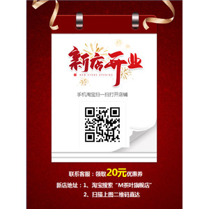 2025 新茶春茶迎客松毛峰绿茶茶叶绿茶明前毛尖竹叶茶125克*2