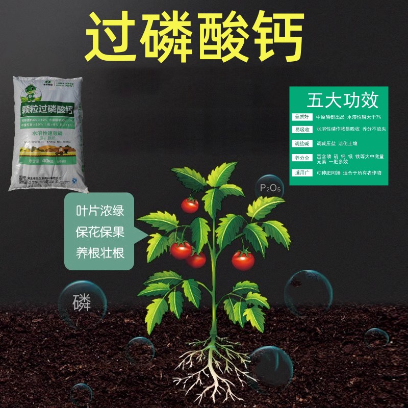 过磷酸钙肥料磷肥颗粒钙肥催花家用果树盆栽花卉通用型种花种菜肥 - 图0