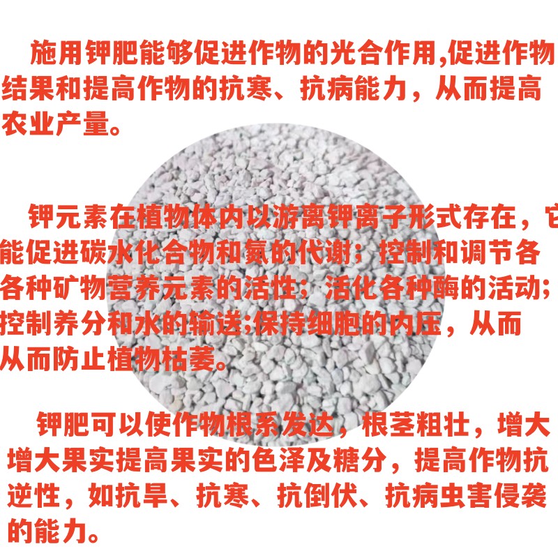 钾肥农用颗粒硫酸钾蔬菜花卉果树盆栽结果壮茎防倒伏增甜钾肥料 - 图1