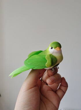 胸针发夹百鸟集泡沫羽毛彩色