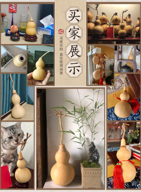 天然葫芦门对门空心五帝钱挂件