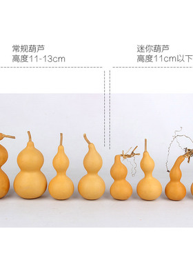 天然葫芦可用来美术绘画