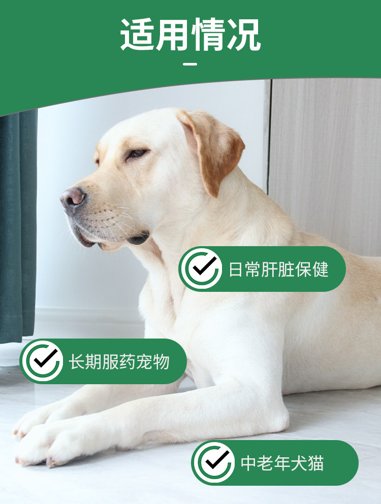 安琪儿肝宝素宠物犬猫狗狗保护保健品日常肝损伤护理养护,淘宝优惠券,粉丝福利购,淘宝优惠卷