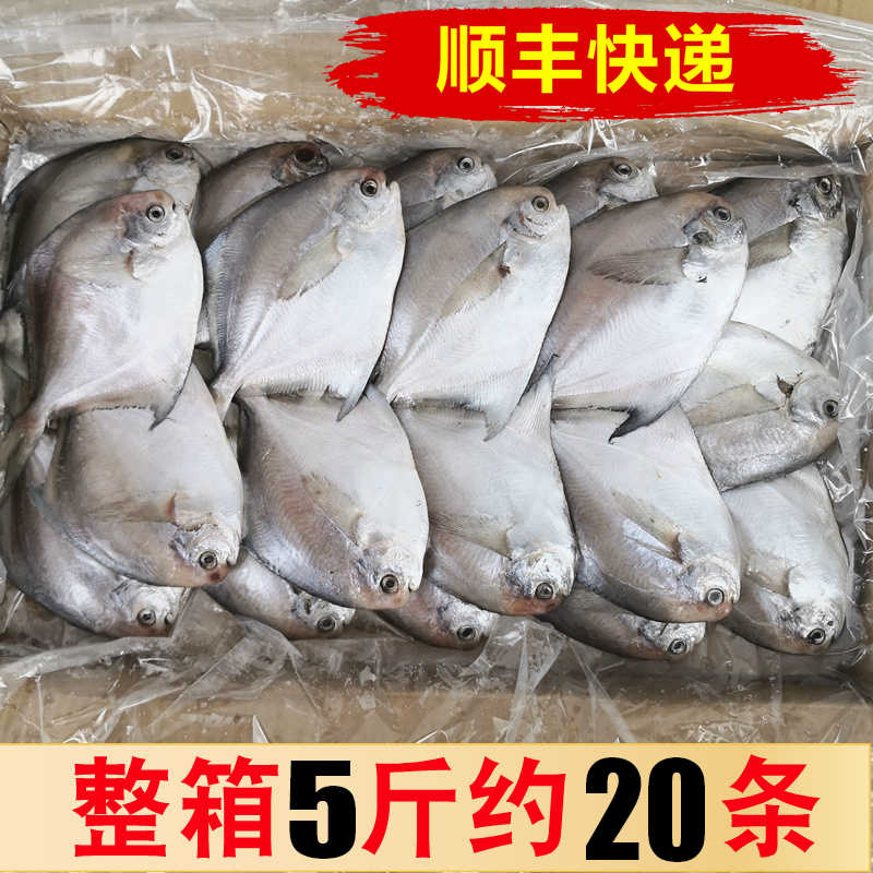 平鱼 新人首单立减十元 21年8月 淘宝海外