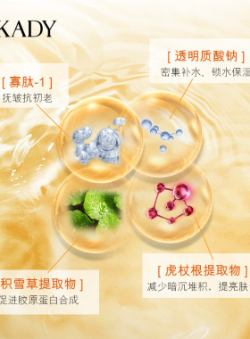 二裂酵母修护精华原液