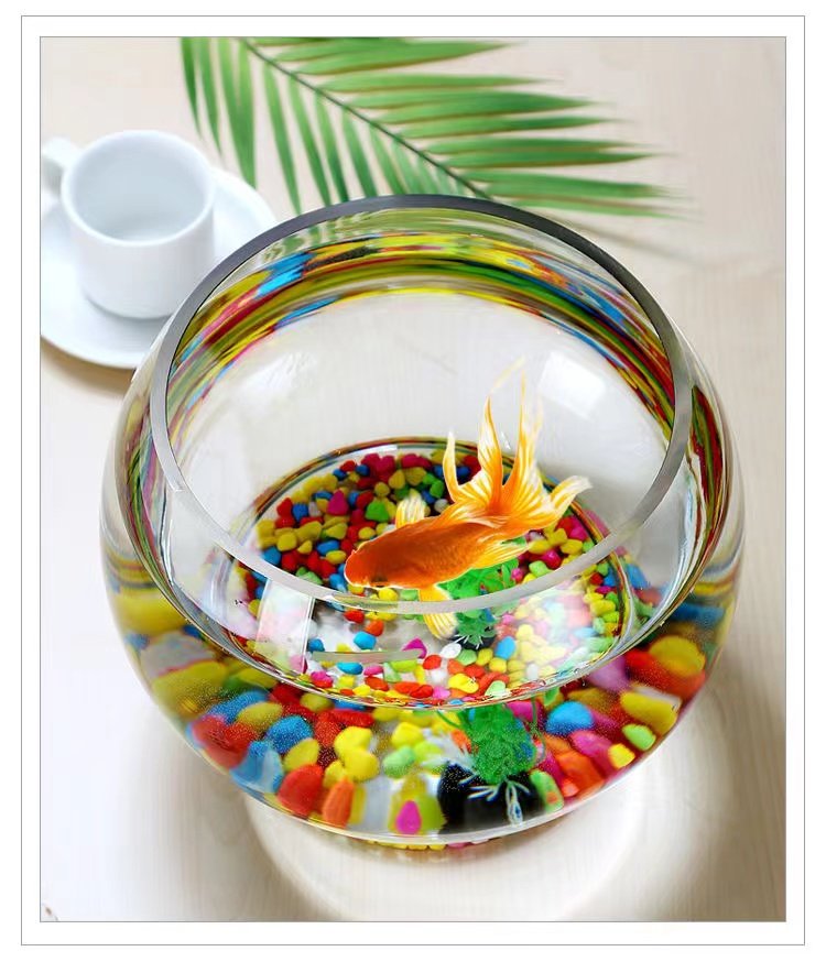 简约大号玻璃花瓶透明创意圆球绿萝室内鱼缸圆形水培水养植物器皿,淘宝优惠券,粉丝福利购,淘宝优惠卷