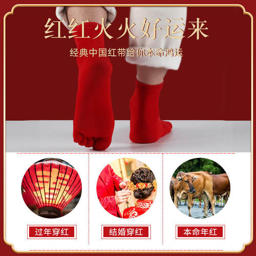 过年本命年五指袜大红男女秋冬分脚趾袜子结婚情侣纯棉中筒五趾袜 - 图0