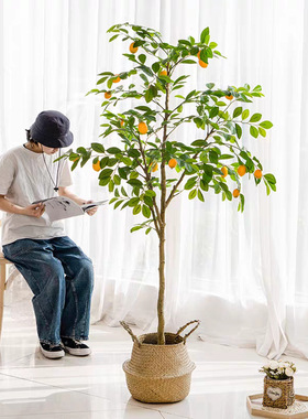 大型仿真柠檬树盆栽家居落地长枝叶带果客厅装饰摆件果树